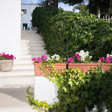 Apartamento Gama 1 Habitacion Διαμέρισμα Cala Galdana  Εξωτερικό φωτογραφία